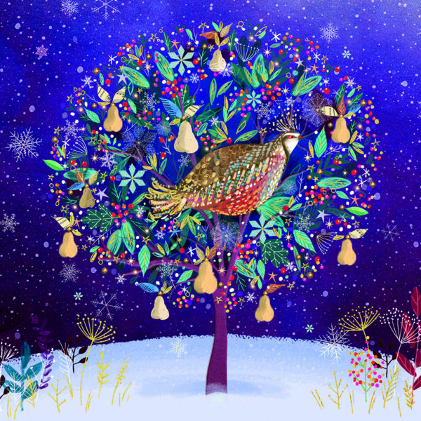 Golden Partridge