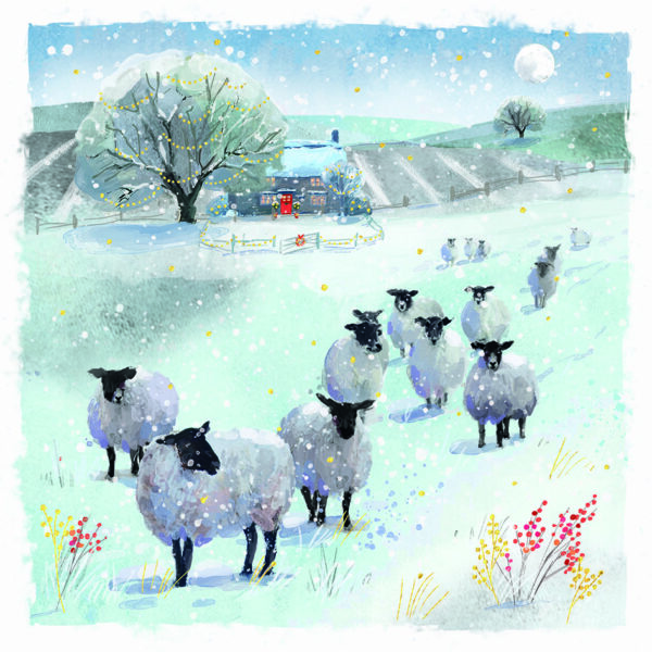Flock in the Field