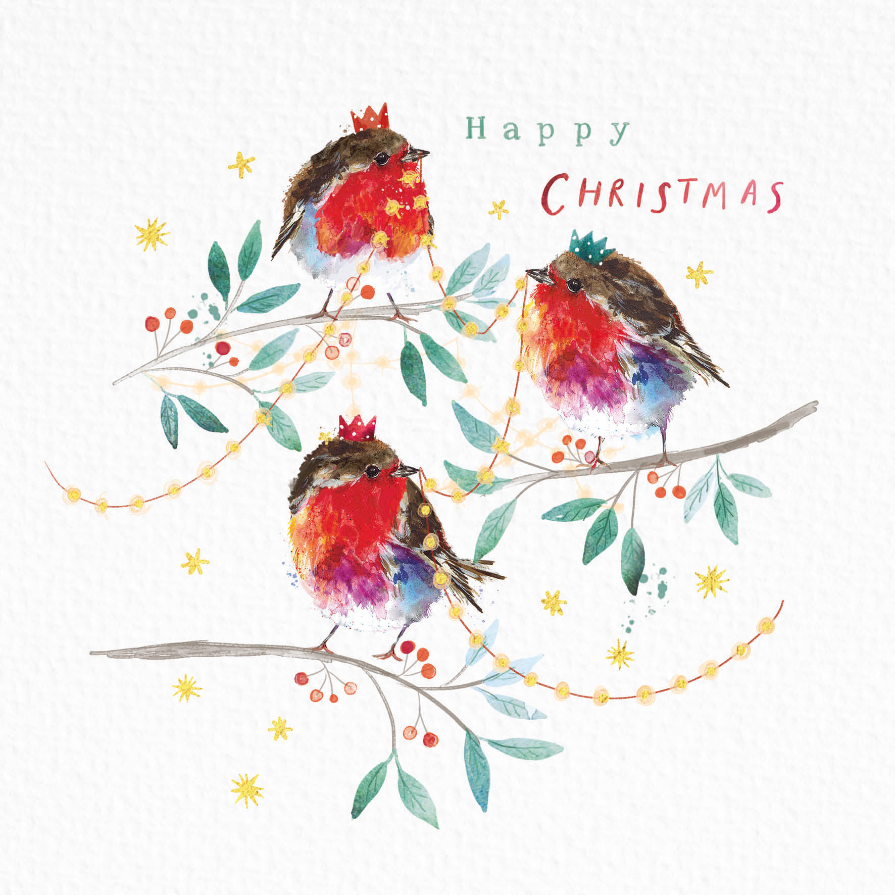 Fluffy Robin Friends