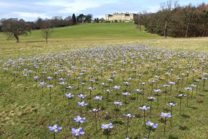 View of Forever Flowers at Harewood