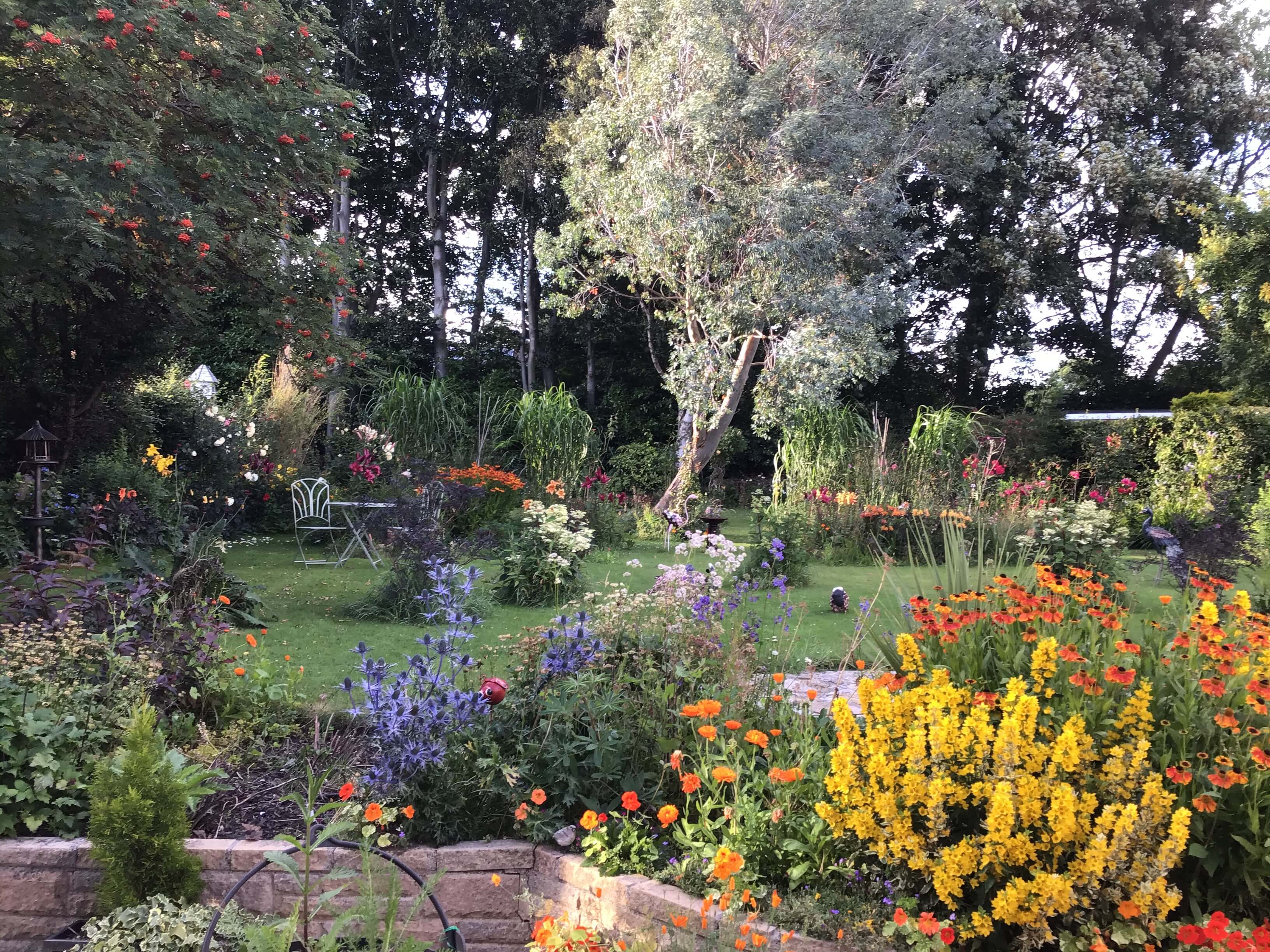 Here’s our floral back garden which was originally all lawn. We have been so fortunate having this space to enjoy during lockdown