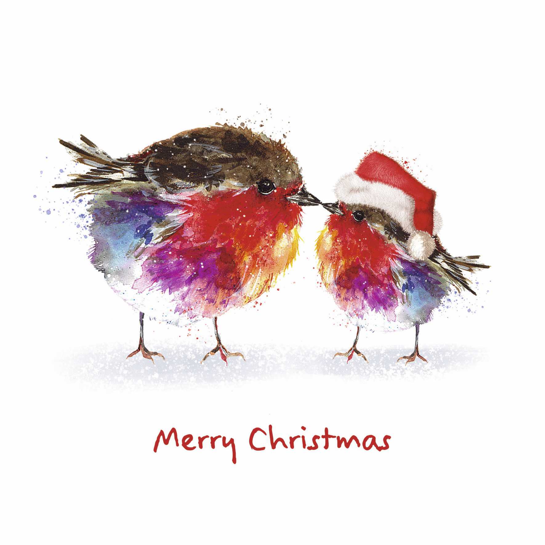 Watercolour illustration of two robins touching beaks. The righthand robin is smaller and wearing a red and white santa hat. Red text reads Merry Christmas.
