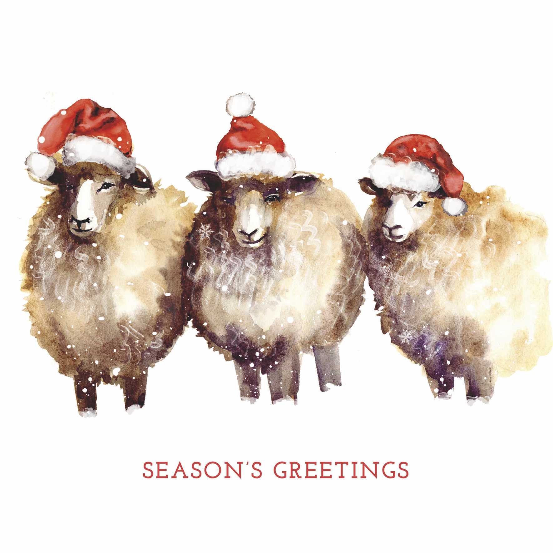 Illustration of three sheep wearing red and white santa hats. Red text reads Season's Greetings.