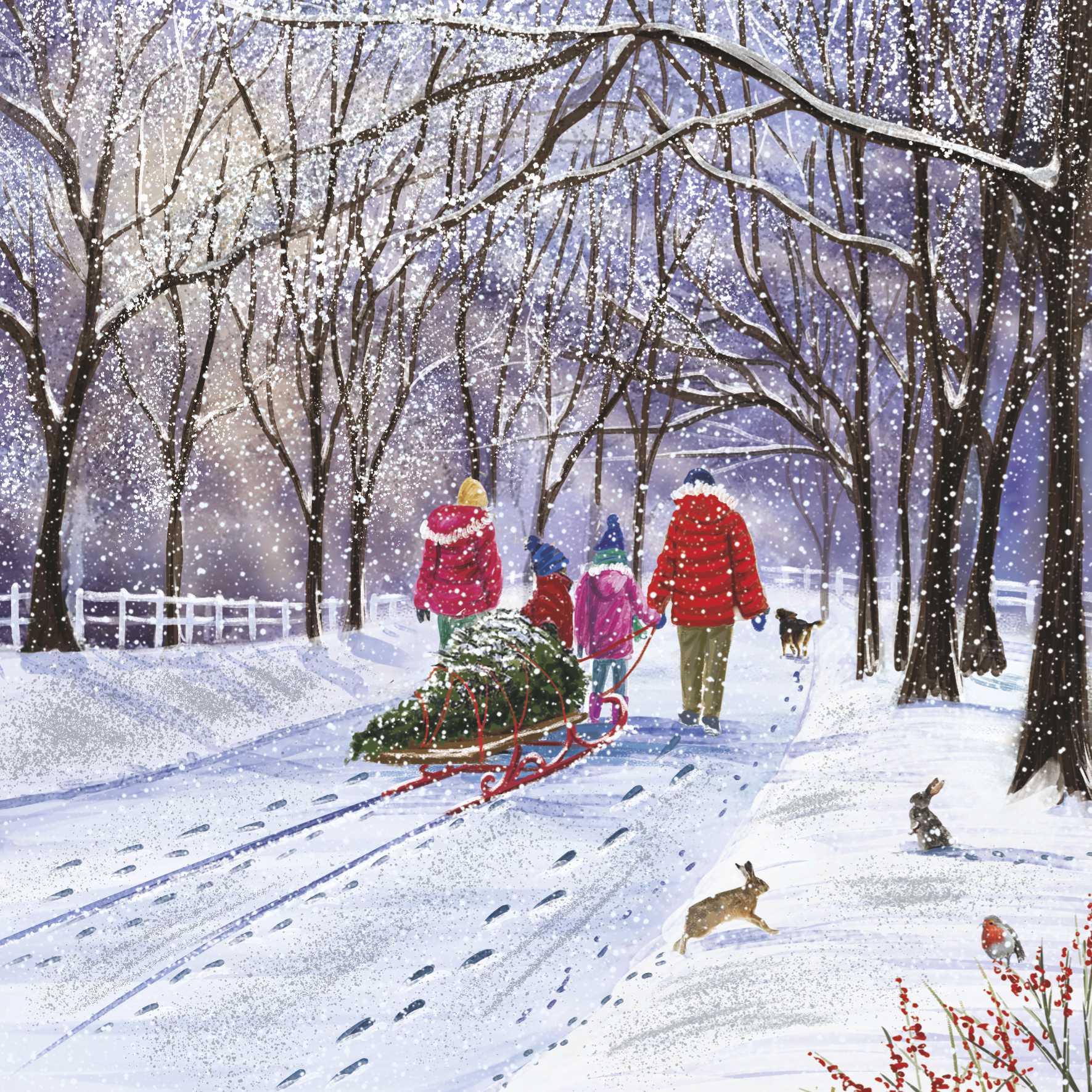 Illustration. A tree-lined lane covered in snow. A family of two adults, two children and a dog can be seen from behind, walking along pulling a Christmas tree on a red sled. A robin and two hares can be seen in the foreground.