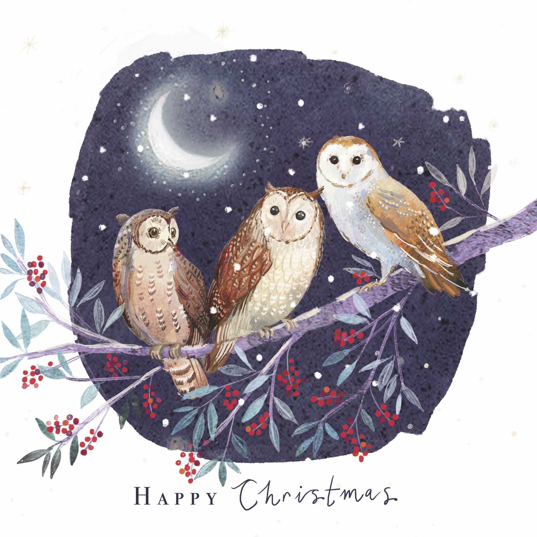 Illustration. Three owls are perched on a branch. Red berries hang from the branch and a crescent moon is shining in the background. Text reads Happy Christmas.
